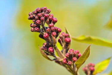 Similar image 1179082