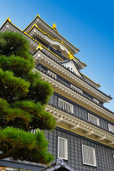 Similar image 1179089