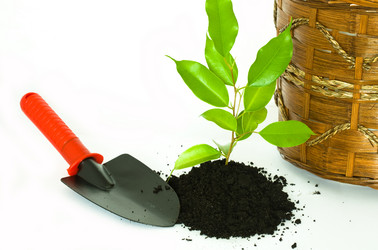 Similar image 1179230