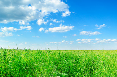 Similar image 1179244