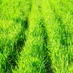 Similar image 1179245