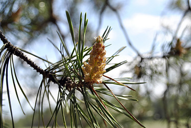 Similar image 1179276