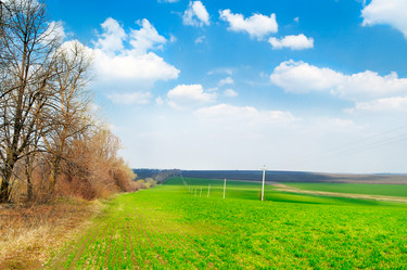 Similar image 1179281