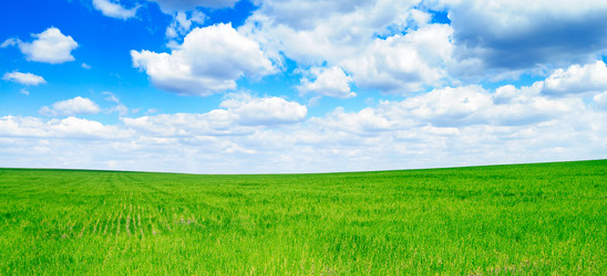 Similar image 1179284