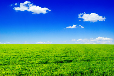 Similar image 1179287