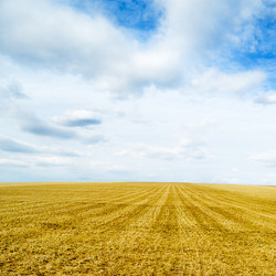 Similar image 1179290