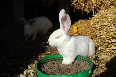 Similar image 1179313