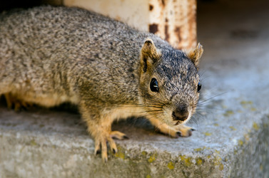 Similar image 1179365