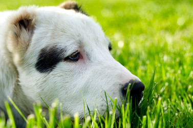 Similar image 1179366