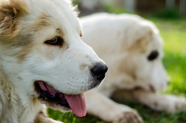 Similar image 1179368