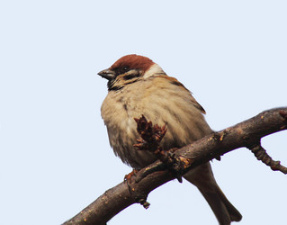 Similar image 1179410