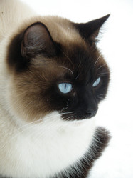 Similar image 1179411