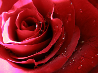 Similar image 1179412