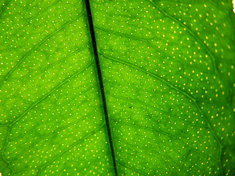 Similar image 1179414