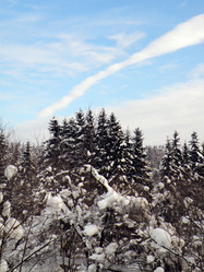 Similar image 1179415