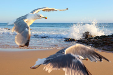 Similar image 1179462