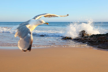 Similar image 1179463