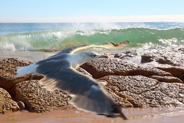 Similar image 1179464