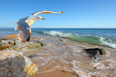 Similar image 1179465