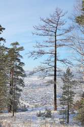 Similar image 1179466