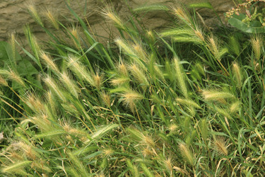 Similar image 1179468