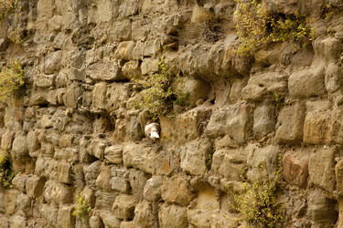 Similar image 1179470