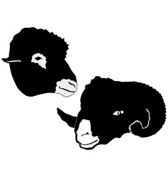 Similar image 1179471