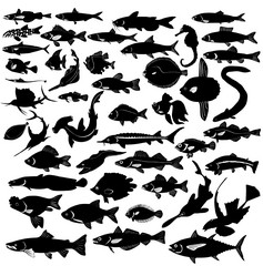 Similar image 1179474