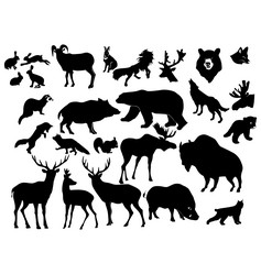 Similar image 1179479