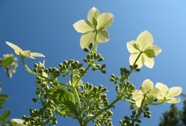 Similar image 1179482