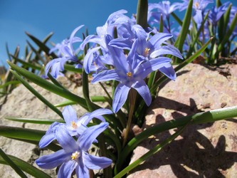 Similar image 1179488