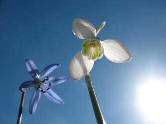 Similar image 1179489