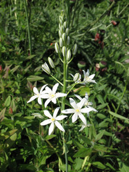 Similar image 1179490