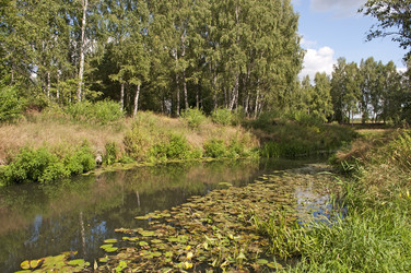 Similar image 1179532