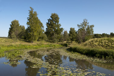 Similar image 1179536