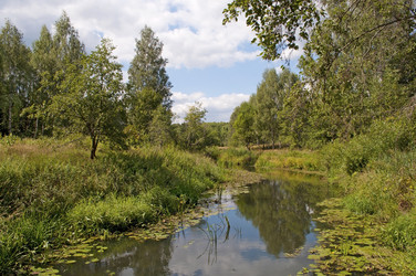 Similar image 1179543