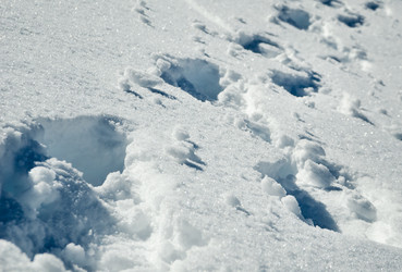 Similar image 1179547