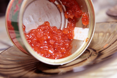 Similar image 1179601