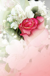 Similar image 1179603