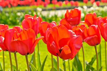 Similar image 1179666