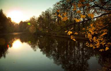 Similar image 1179728