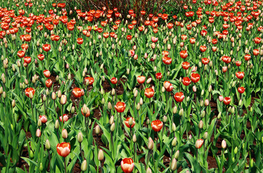 Similar image 1179751