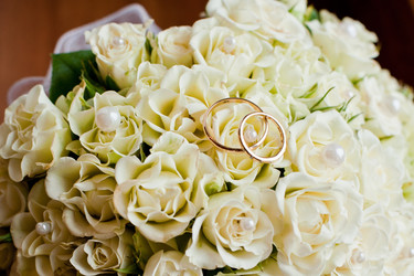 Similar image 1179776