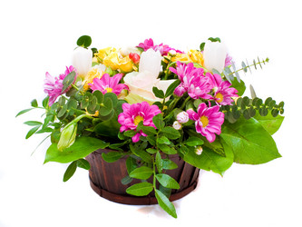 Similar image 1179786