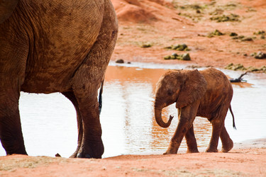 Similar image 1179789