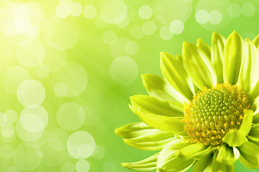 Similar image 1179804