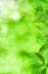 Similar image 1179805