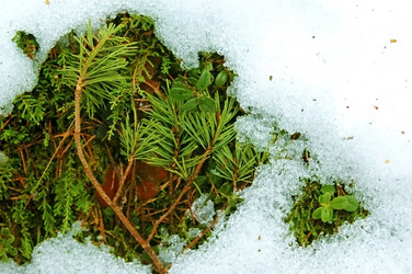 Similar image 1179809