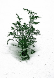 Similar image 1179810