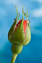 Similar image 1179822